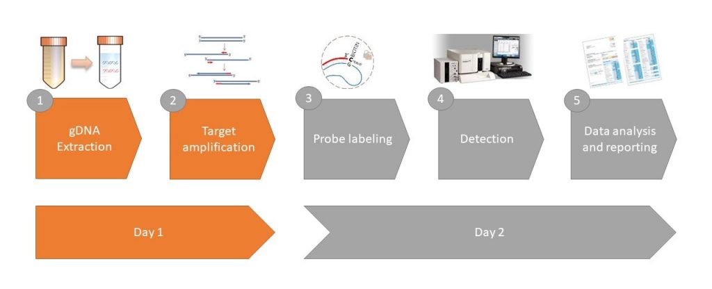 GA-map Dysbiosis Test Lx - Gut Microbiome Map - EagleBio