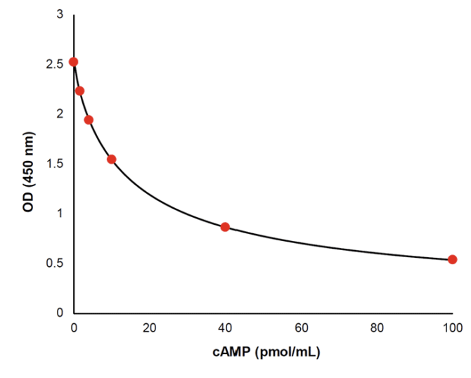 cAMP Plasma ELISA Kit - Image 2