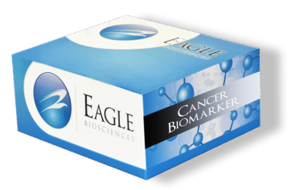 Chromogranin A ELISA Kit