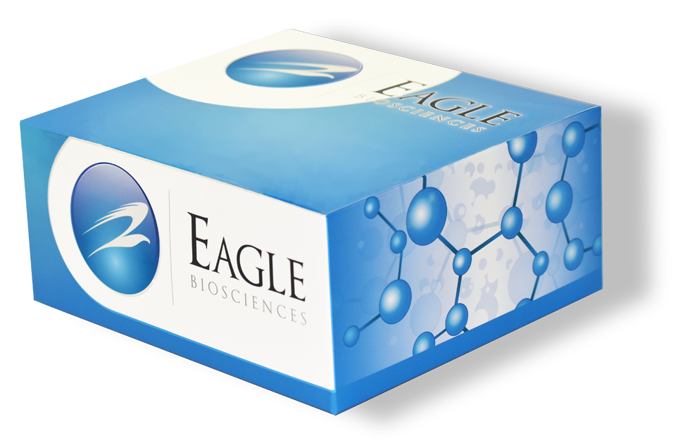 Alpha 1-Antichymotrypsin ELISA Kit