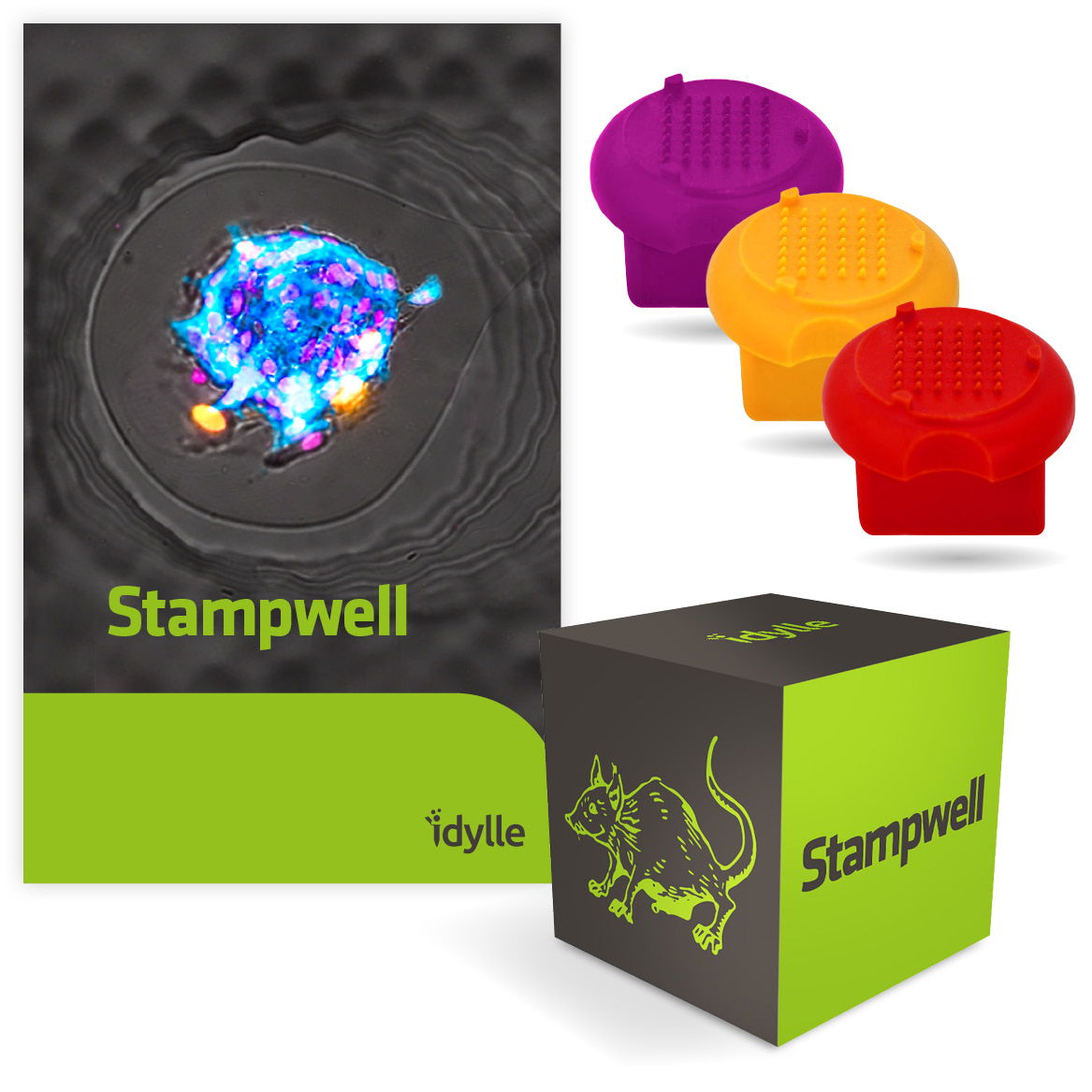 Stampwell V