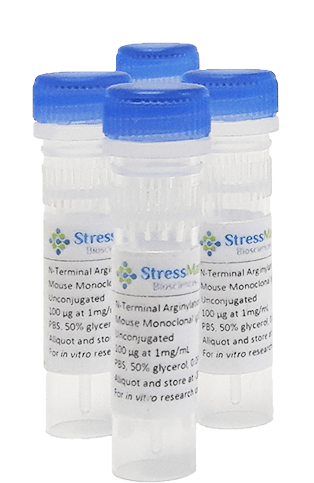 Rat Anti-Drosophila HSP70 (Clone 7FB) Monoclonal IgG2B Antibody