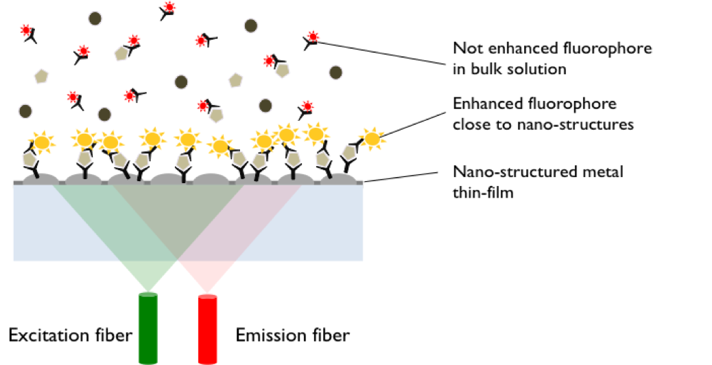 MEF Principle